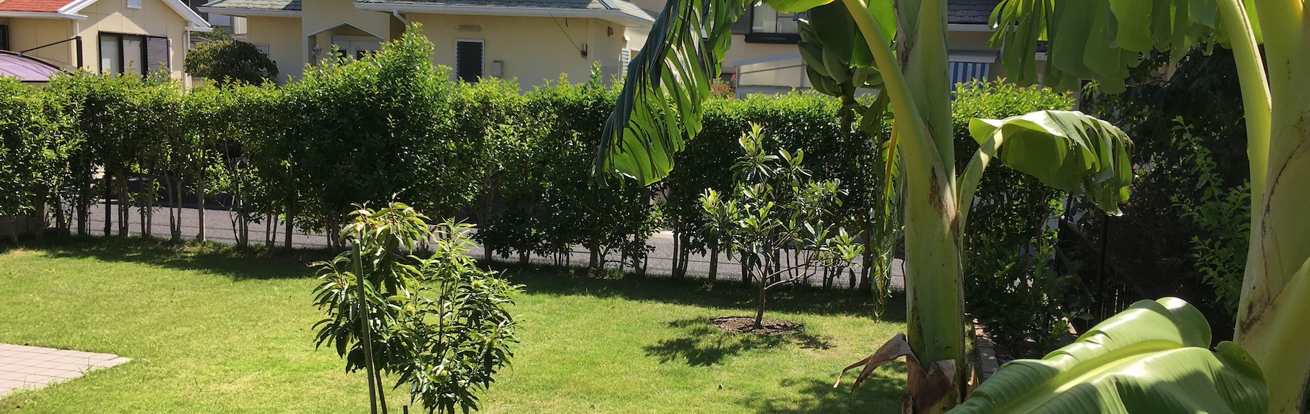 北九州市若松区　あおば施術院　庭